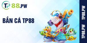Ba╠a╠un ca╠u TP88